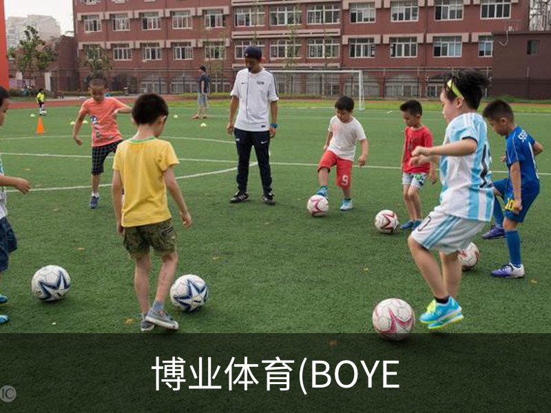博业体育(BOYE概况