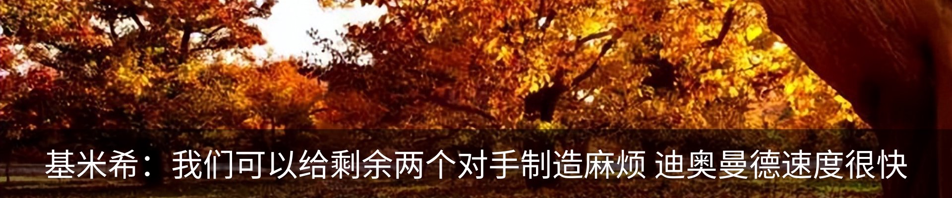 内页banner